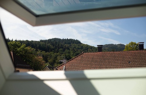Steinbach Casa | Gîte chez Tim-Casa-Diseñador-Baño con ducha-Vista a la Montana