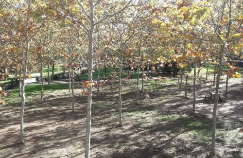 Sant Cugat del Valles Apartamento | House in Sant Cugat, 25 Mins to Barcelona center