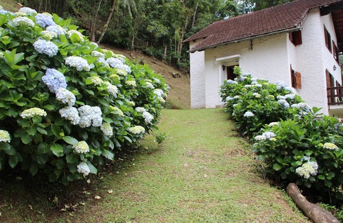 Maringa Casa | CASA EN MEDIO A NATURALEZA - MARINGÁ MG