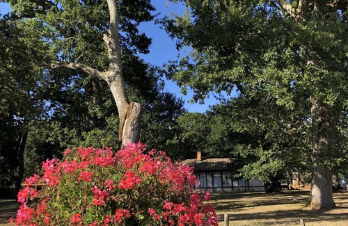 Pontenx-les-Forges Casa | casa en el corazón del bosque de Landes