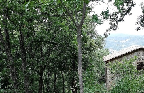 Arcidosso Casa | House in the woods, southern Tuscany, Stribugliano