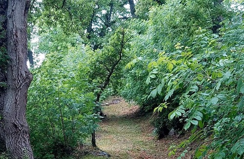 Arcidosso Casa | House in the woods, southern Tuscany, Stribugliano