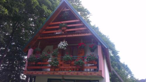 Zabljak Chalet De Esquí | House Jaksic