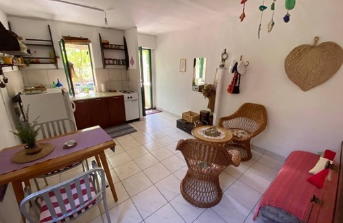 Kornati Casa | House Kornati Robinzon (77331-K1) - Zut - island Zut