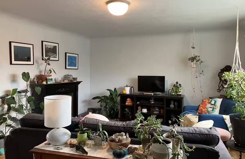 Springfield Casa | House Near Downtown