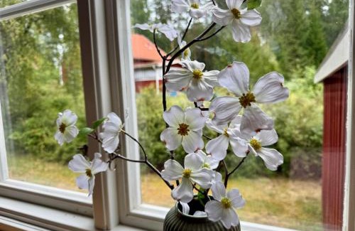 Filipstad Municipality Casa | House near forest and water