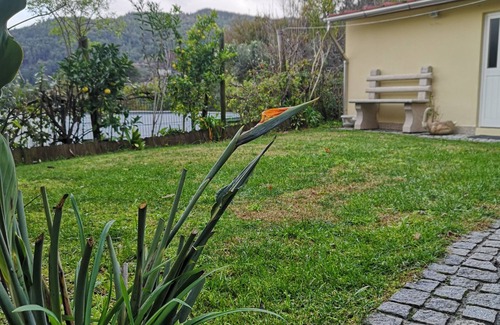 Ventosa Casa | House of Bouças
