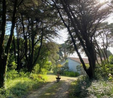 Sintra Casa | House of green leaves