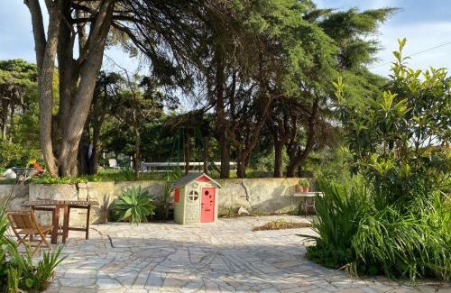 Sintra Casa | House of green leaves