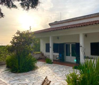 Sintra Casa | House of green leaves