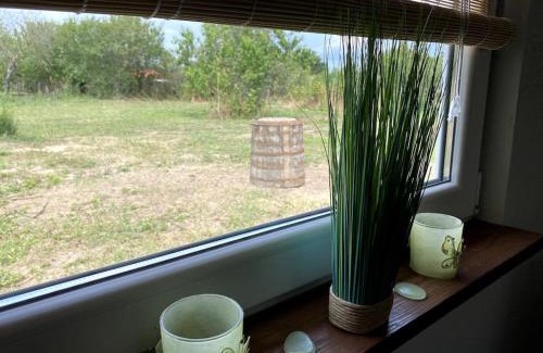 Kavarna Casa | House sunlight