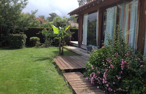 Messanges Casa | Casa T5 borde de la madera de los bosques