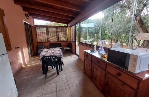 Iglesias Historic Centre Apartamento | House The Ancient Olive Tree, nestled in a centuries-old olive grove with a large garden around it.