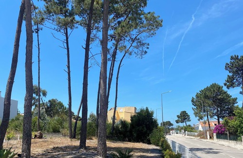 Lisbon Old Town Casa | House to rent in Portugal for nature, ocean and water sports lovers.