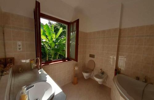 Rakoshegy Apartamento | House w little tropical garden