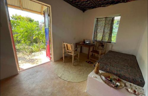 Mkunguni Apartamento | House with beautiful garden for rent in Kizimkazi