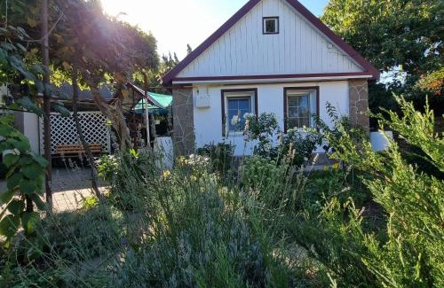 Zatoka Casa | House with flowers