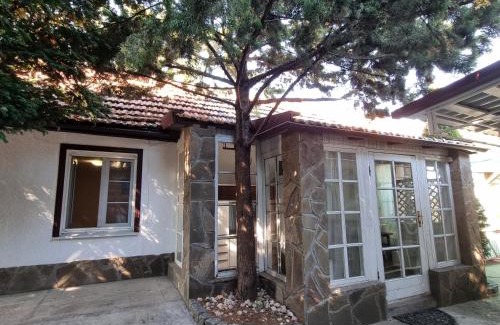 Zatoka Casa | House with flowers
