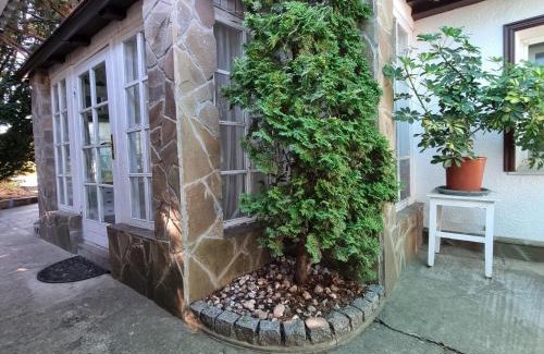 Zatoka Casa | House with flowers