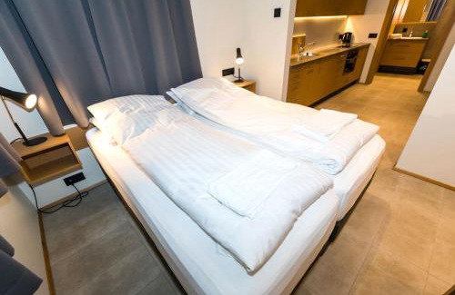 Oddeyrin Apartamento | Hrimland Apartments
