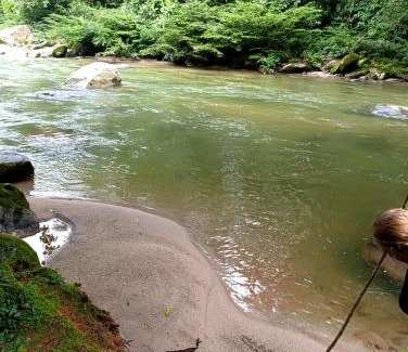 Mocoa Casa | Huellas en la selva sas zomac