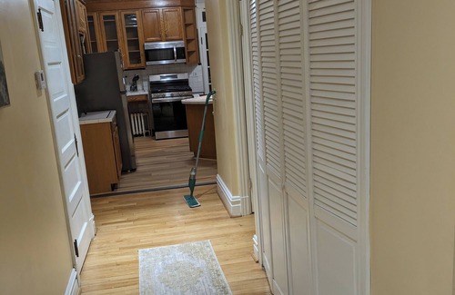 Tower Grove East Apartamento | Huge 2-bedroom apartment 2 Blocks from Tower Grove Park!