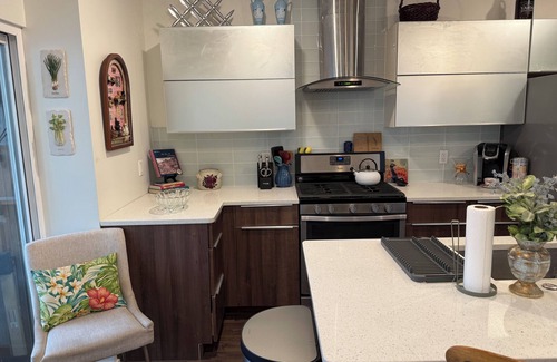 Brewerytown Apartamento | Huge 2 Bedroom Bilevel Apartment with Patio WiFi AC Laundry