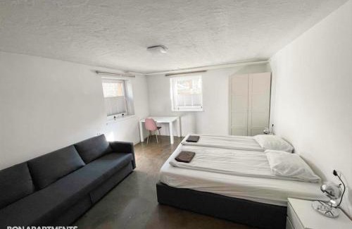 Bezigrad District Apartamento | Huge BBQ Garden 1, Basement app Two Bathrooms, AC, Free Parking
