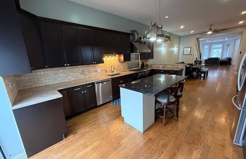 Bronzeville Casa | Huge Limestone SFH/McCormick