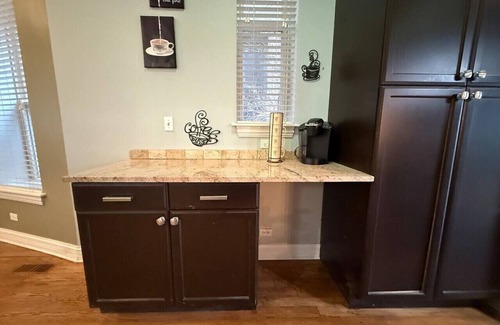 Bronzeville Casa | Huge Limestone SFH/McCormick