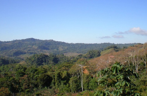 San Isidro de El General Casa | Enorme casa de un dormitorio con impresionantes vistas, brisas frescas 1/2 hora a Dominical