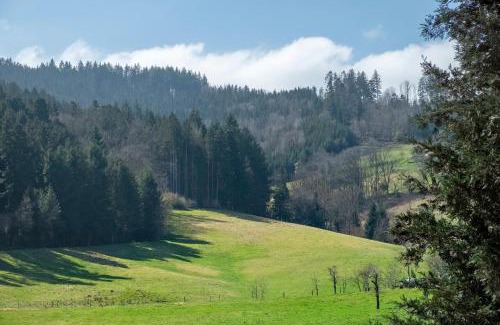 Kirchzarten Apartamento | Hugenhof