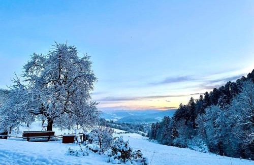 Kirchzarten Apartamento | Hugenhof