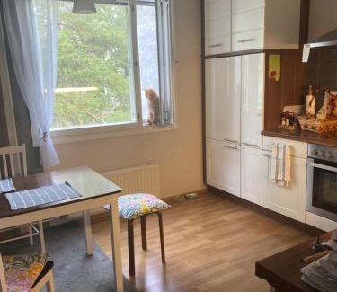 Lappeenranta Apartamento | Huhtiniemenranta