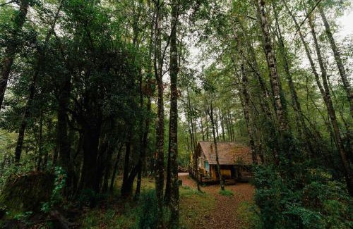 Neltume Cabina | Huilo Huilo Cabañas del Bosque