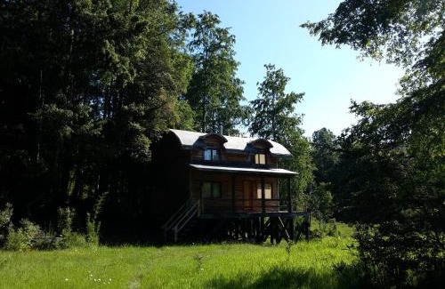 Neltume Cabina | Huilo Huilo Cabañas del Bosque
