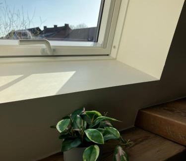 Tongeren Casa | Huisje Emma