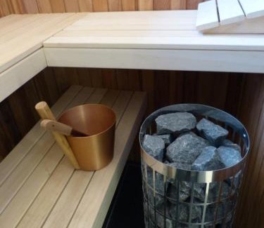Noordwolde Apartamento | Huize Triangel - Wellness studio met sauna