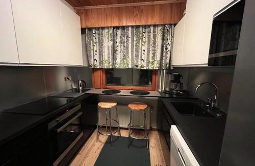 Jyvaskyla Apartamento | Huoneisto Tikkakoski - Apartment in Tikkakoski