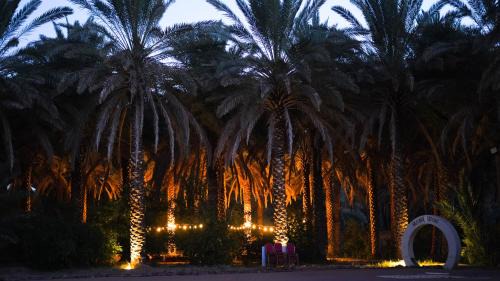 Western Province Otro | Husaak Glamping