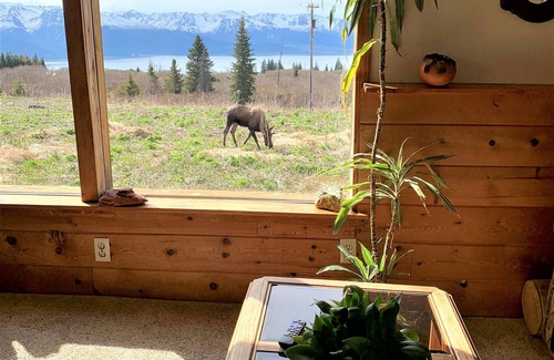 Fritz Creek Casa | Husky Ranch-Glacier & Bay Views! Encantador y acogedor desierto - Serenidad