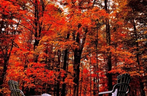 Barton Cabina | Hut on the Hill at Mountain Pines Vacation Rentals