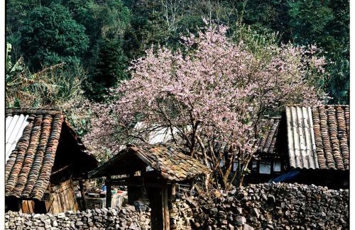 Dong Van Casa | Huyen Tram Guesthouse
