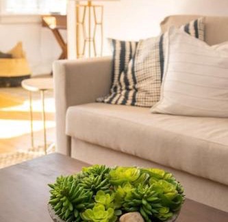 Hyde Park Apartamento | Hyde Park Comfort with Office Near Everything