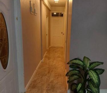 Roseau Apartamento | Hygge's Inn