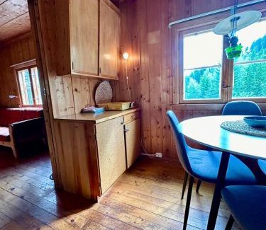 Nore og Uvdal Casa | Hytte uten hyttenaboer