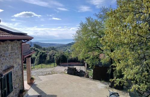 Vibonati Apartamento | I Corbezzoli