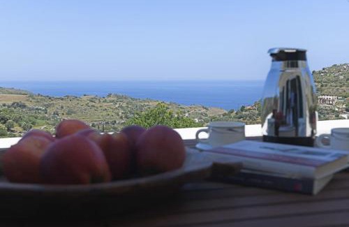 Evdilos Casa | Icaria Great Filling House