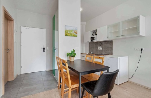 Reykjavik Apartamento | Iceland Comfort Apartments Studio for 5
