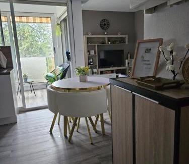 Digne-les-Bains Apartamento | Idéal long séjour, Souvenirs de Provence,T2 classé, vue sur les montagnes, toutes commoditées!